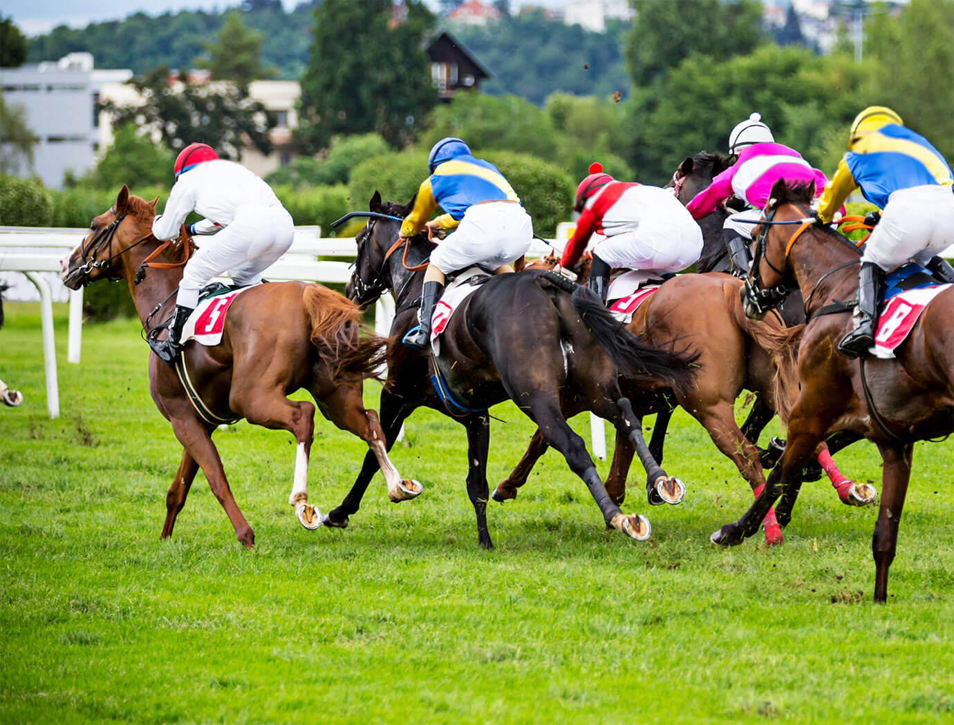 Limerick Races Racecourse Guide