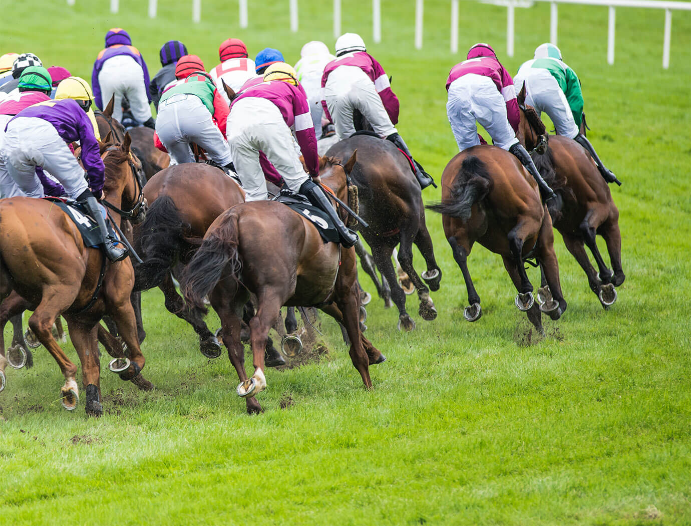 Musselburgh Races & Racecourse Guide