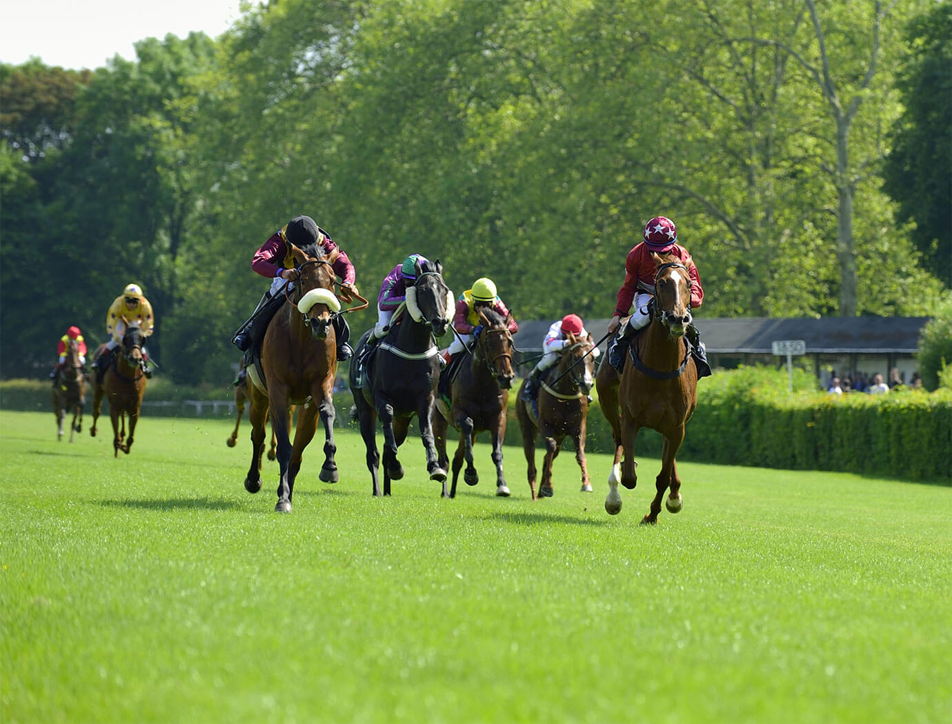 Uttoxeter Races And Racecourse Guide