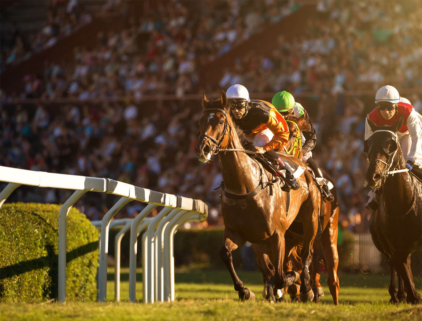 Windsor Races 2024 Dates Luci Simona